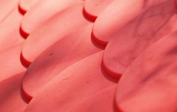 Dewlands Common plastic roof costs