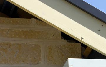 soffit repair Dewlands Common