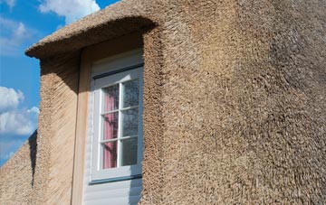 Dewlands Common thatch roof disadvantages