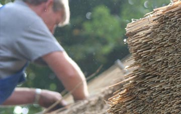 professional Dewlands Common thatchers